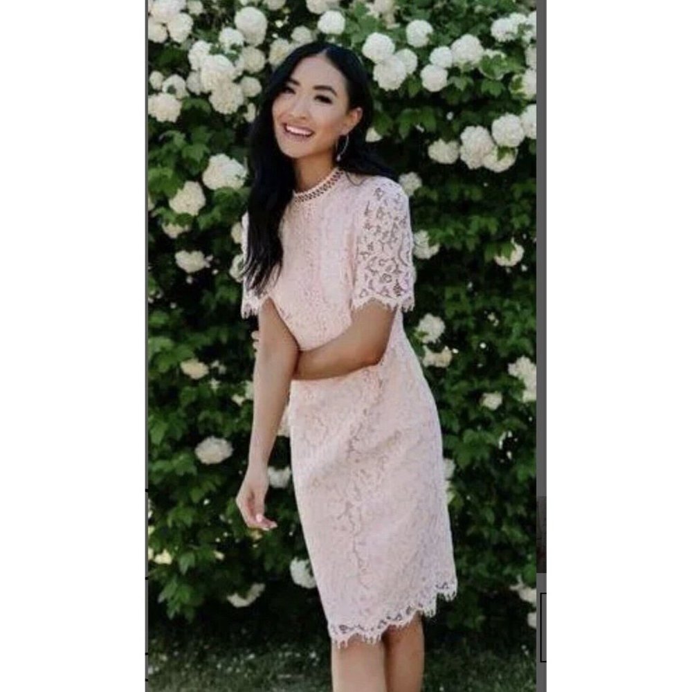 Rachel‎ Parcell Pink Lace Sheath Dress Size XL Romantic Spring Easter Wedding